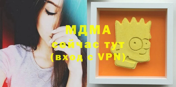 индика Абаза