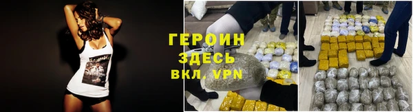 индика Абаза