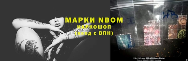 индика Абаза