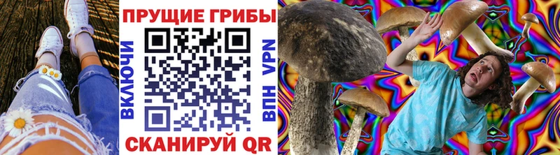 Галлюциногенные грибы мухоморы  Таганрог 